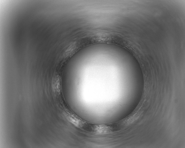 X0000059810336200510241402