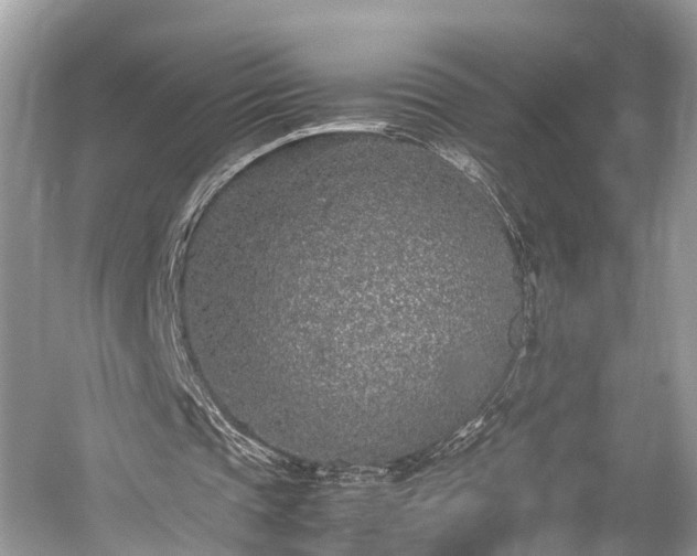 X0000059810337200510241401