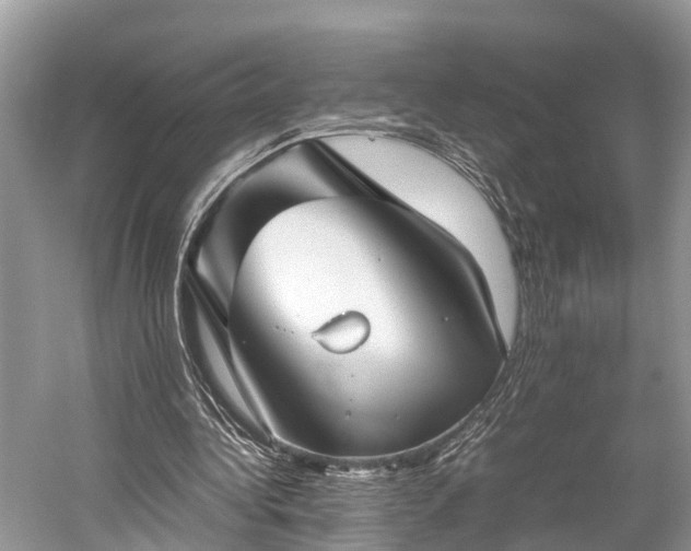 X0000059810340200510241401