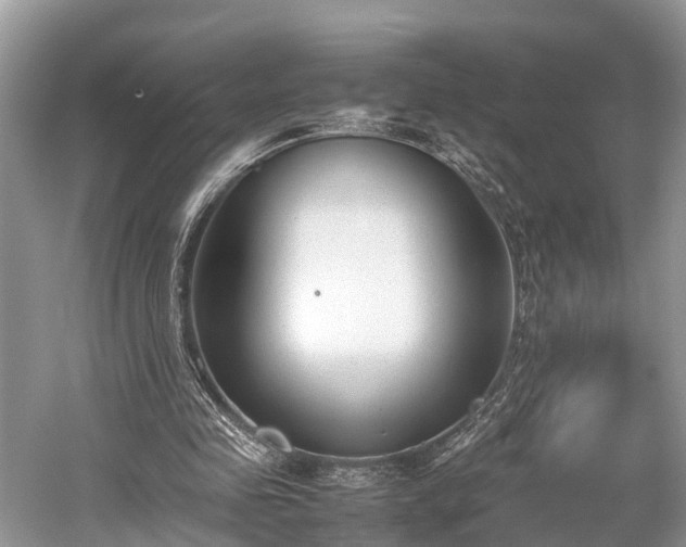 X0000059810341200510241401