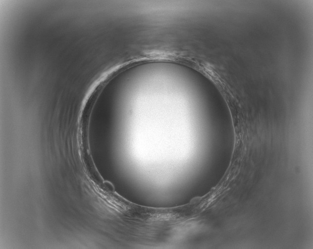 X0000059810342200510241401