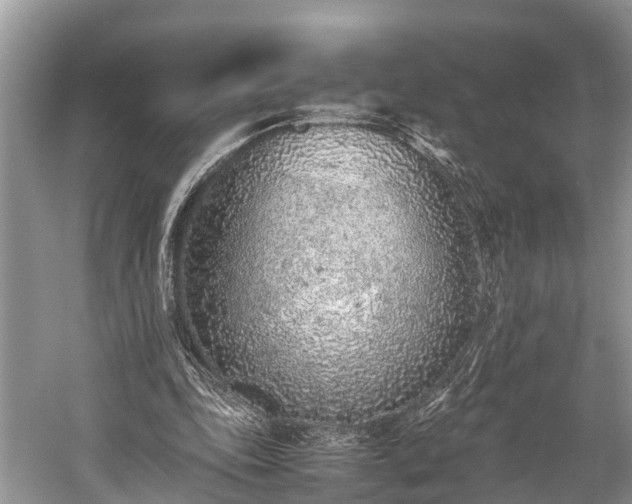 X0000059810343200510241401