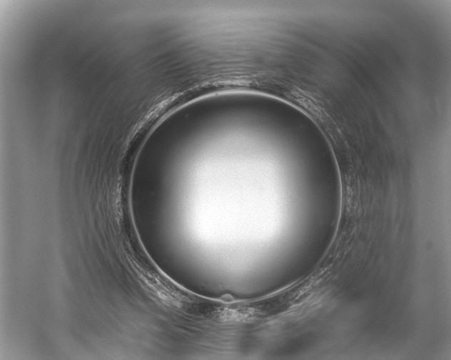 X0000059810346200510241401