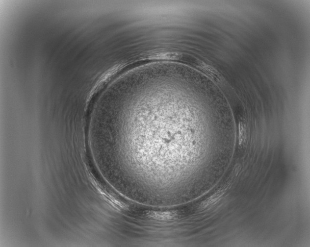 X0000059810349200510241401