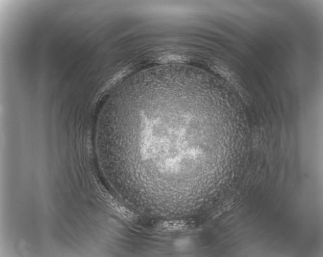 X0000059810353200510241401