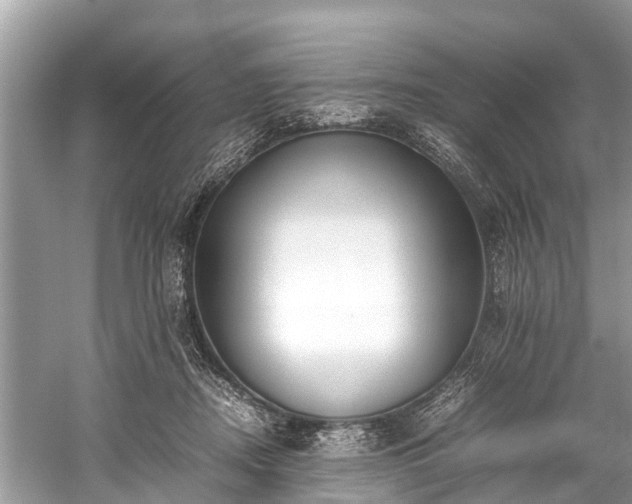 X0000059810362200510241401