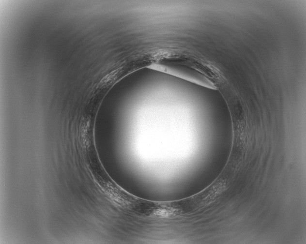 X0000059810364200510241401