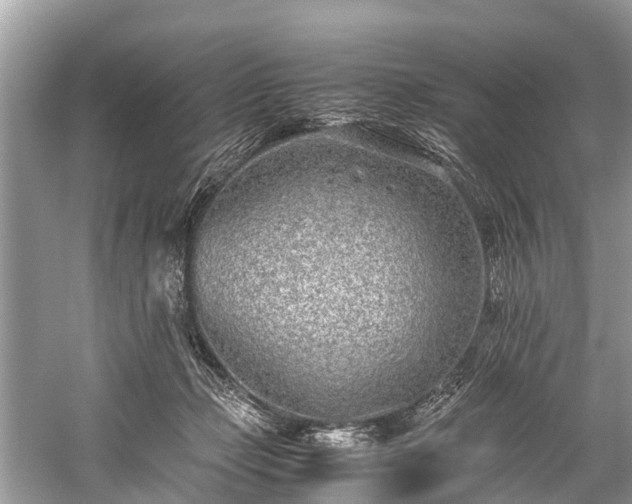 X0000059810365200510241401