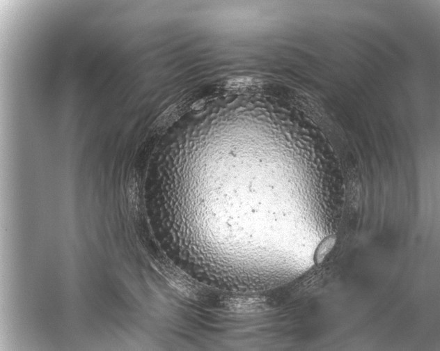 X0000059810375200510241401