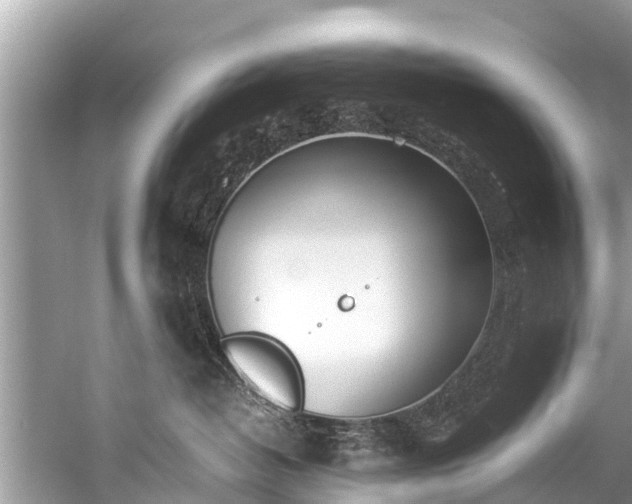 X0000059810382200510241402