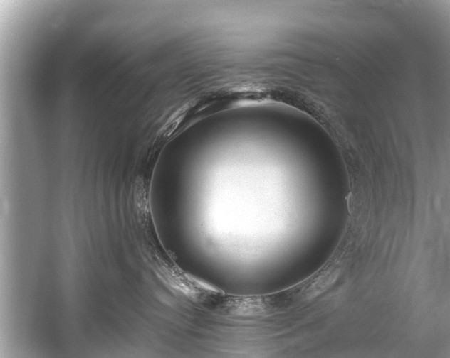 X0000059810384200510241402