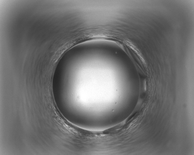 X0000059810385200510241401