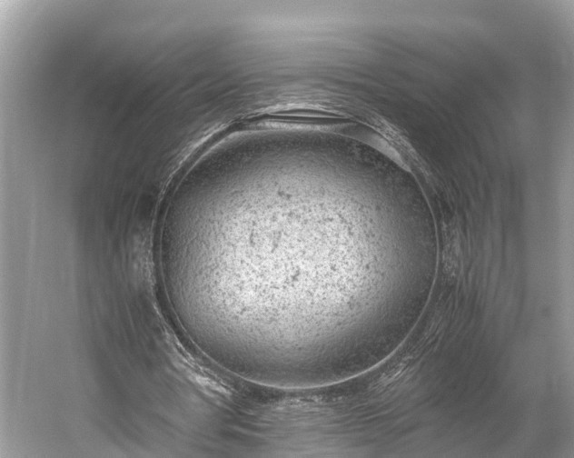 X0000059810386200510241401