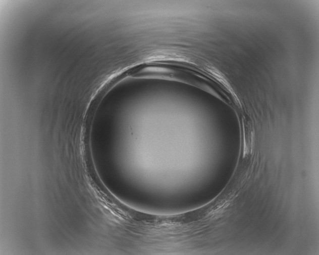 X0000059810387200510241401