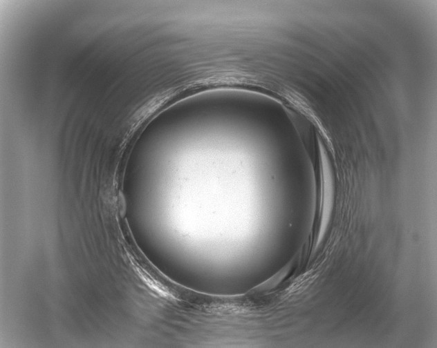 X0000059810389200510241401