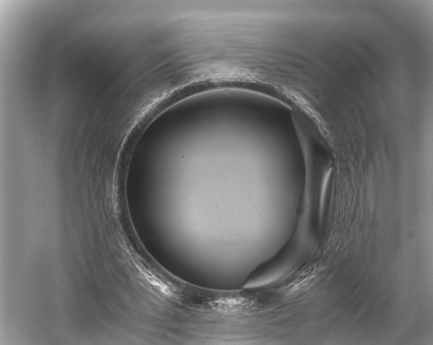 X0000059810391200510241401