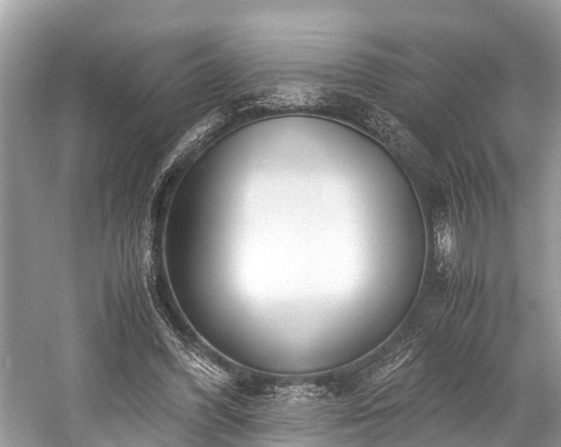 X0000059810396200510241401