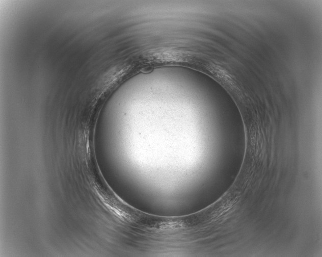 X0000059810398200510241401