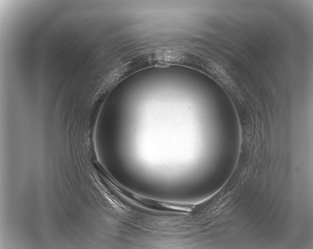 X0000059810401200510241401