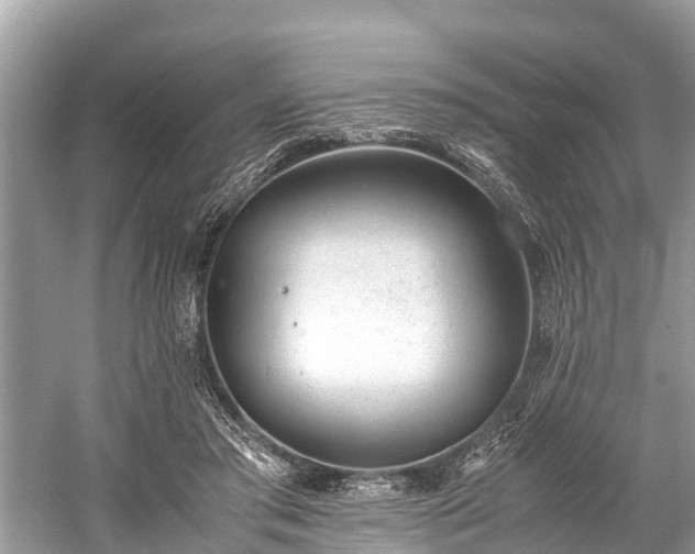 X0000059810405200510241400