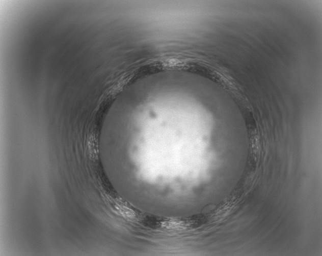 X0000059810419200510241400