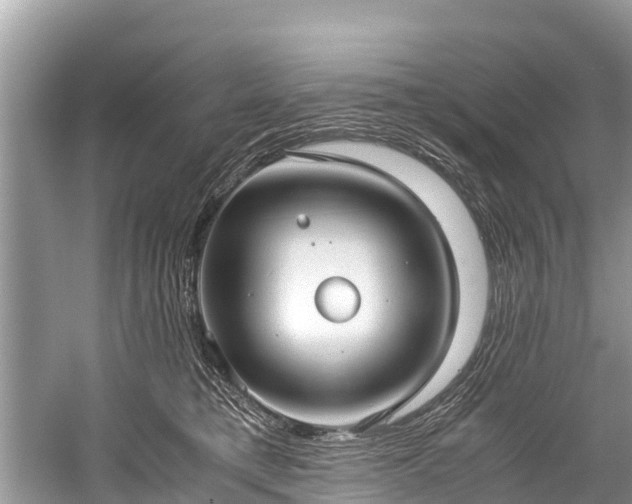 X0000059810421200510241400