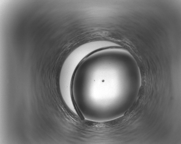 X0000059810423200510241400