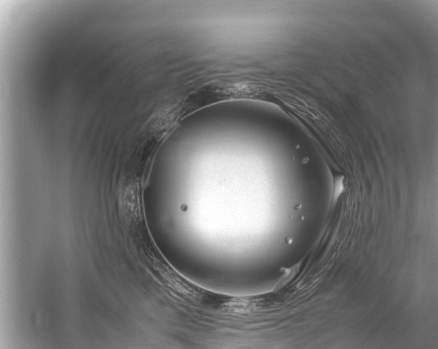 X0000059810425200510241400