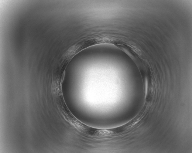 X0000059810429200510241400