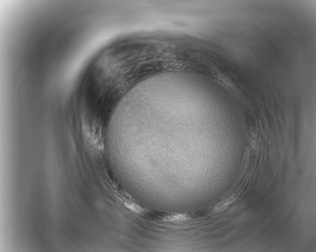 X0000059810431200510241400