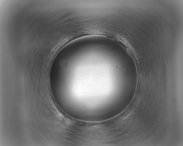 X0000059810433200510241359