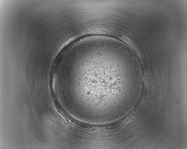 X0000059810434200510241359