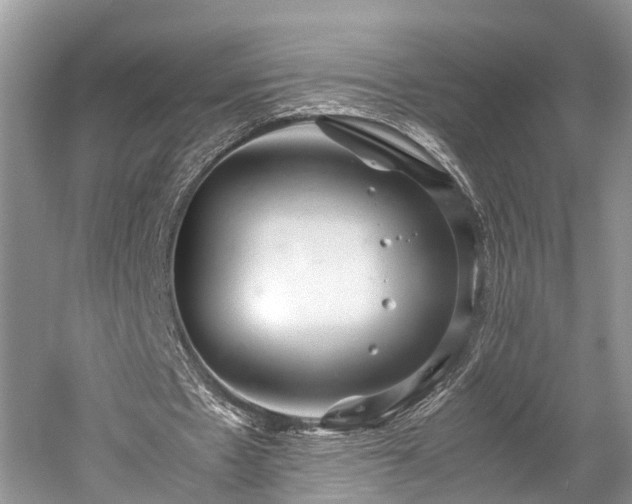 X0000059810481200510241359