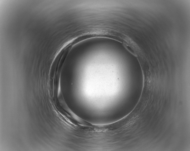 X0000059810484200510241359