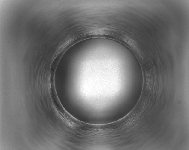 X0000059810486200510241359