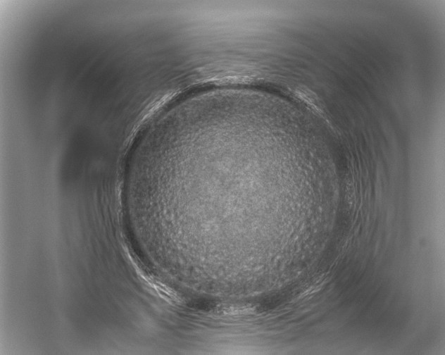 X0000059810491200510241359