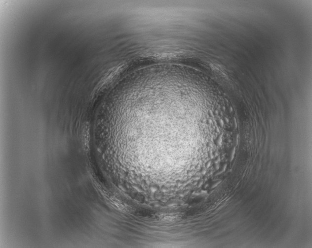 X0000059810495200510241359