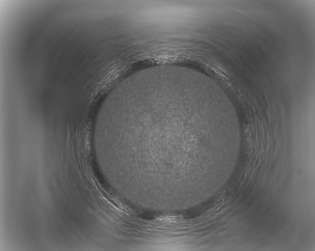 X0000059810499200510241359