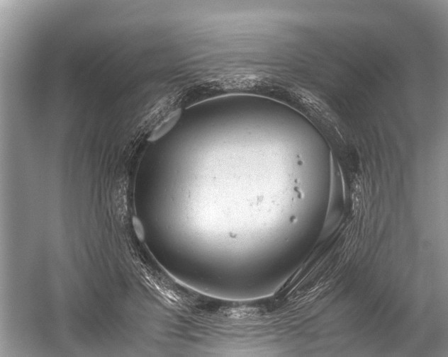 X0000059810501200510241359