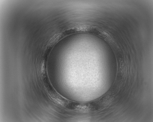 X0000059810502200510241359