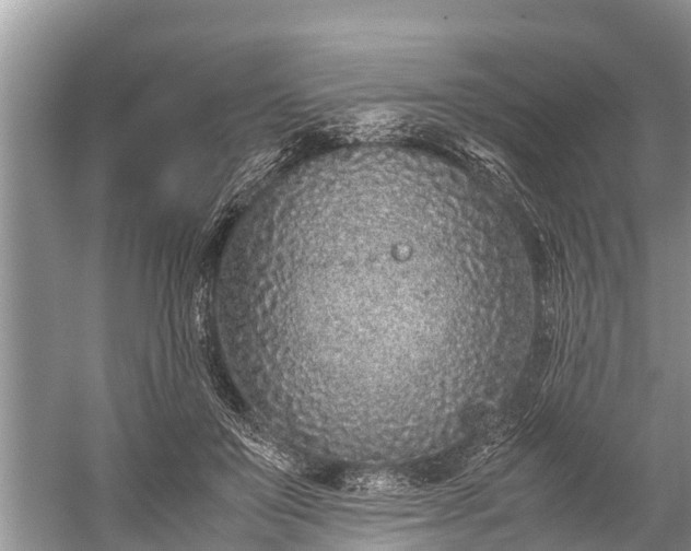 X0000059810503200510241359