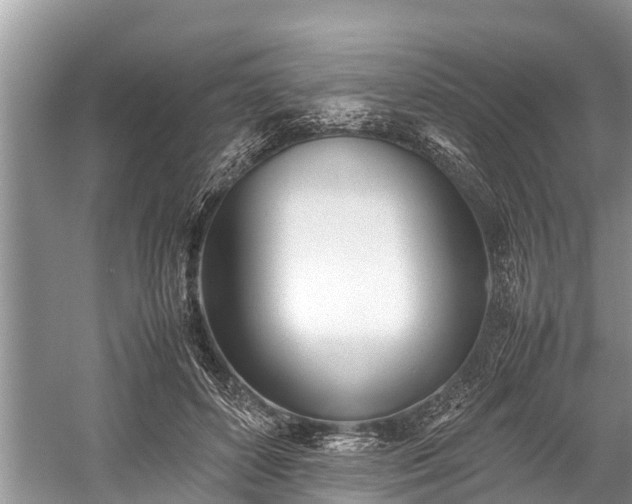 X0000059810504200510241359