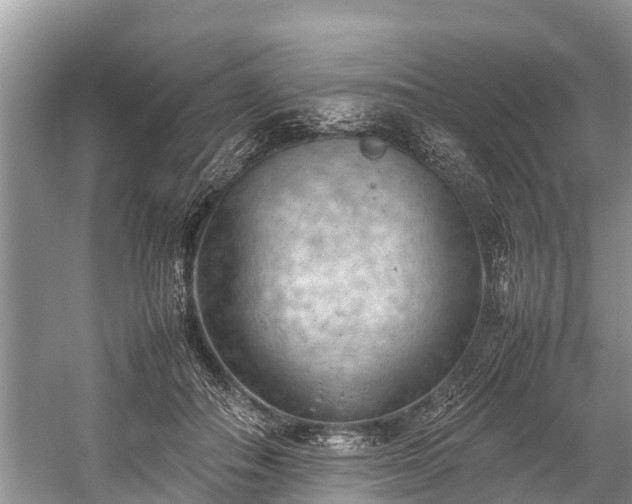 X0000059810506200510241359