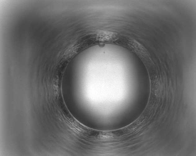 X0000059810510200510241359