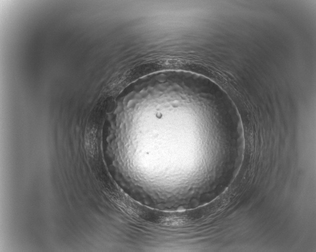 X0000059810511200510241359