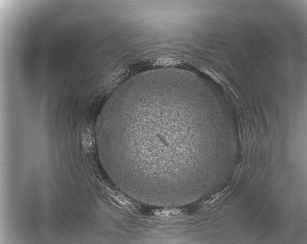 X0000059810517200510241359