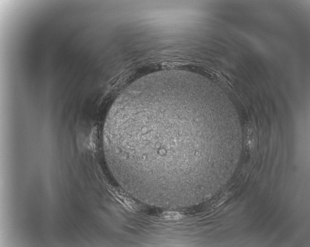 X0000059810519200510241359