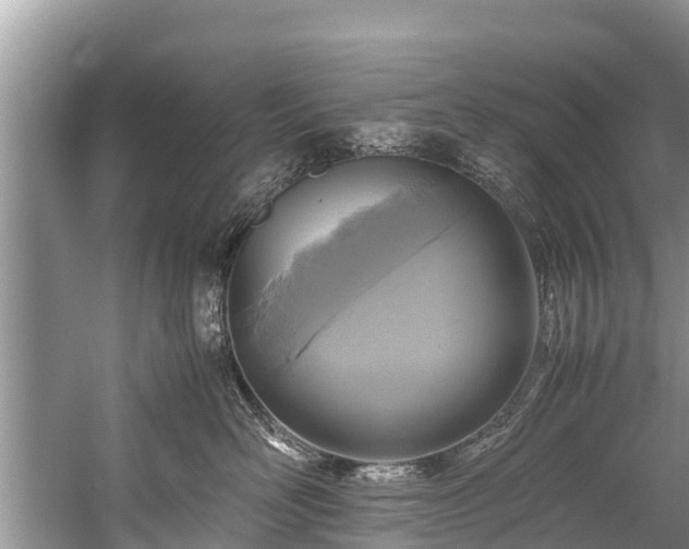 X0000059810526200510241358