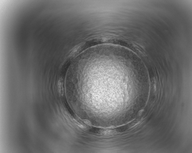 X0000059810527200510241358