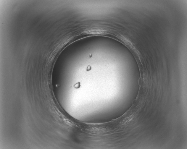 X0000059810529200510241358